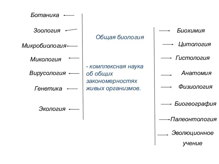 Общая биология Ботаника Зоология Микробиология Микология Вирусология Биохимия Цитология Гистология