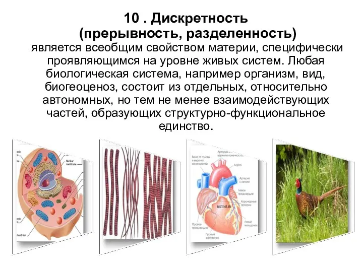 10 . Дискретность (прерывность, разделенность) является всеобщим свойством материи, специфически