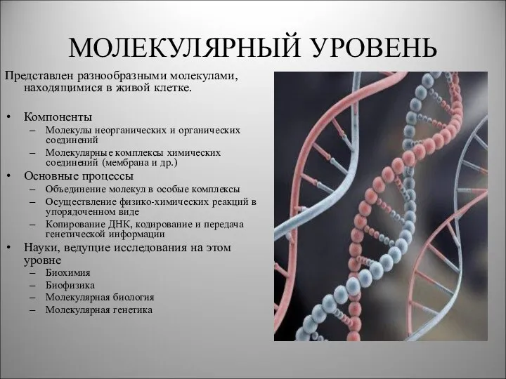 МОЛЕКУЛЯРНЫЙ УРОВЕНЬ Представлен разнообразными молекулами, находящимися в живой клетке. Компоненты