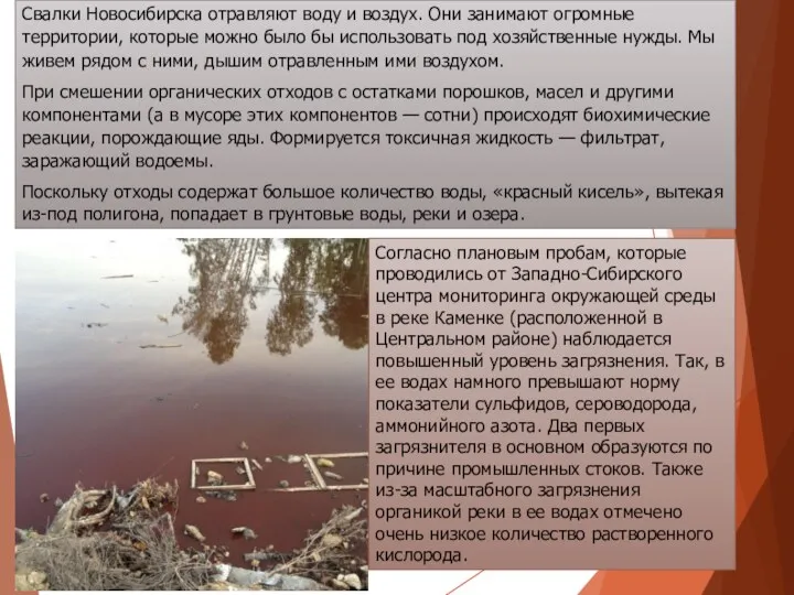 Свалки Новосибирска отравляют воду и воздух. Они занимают огромные территории,