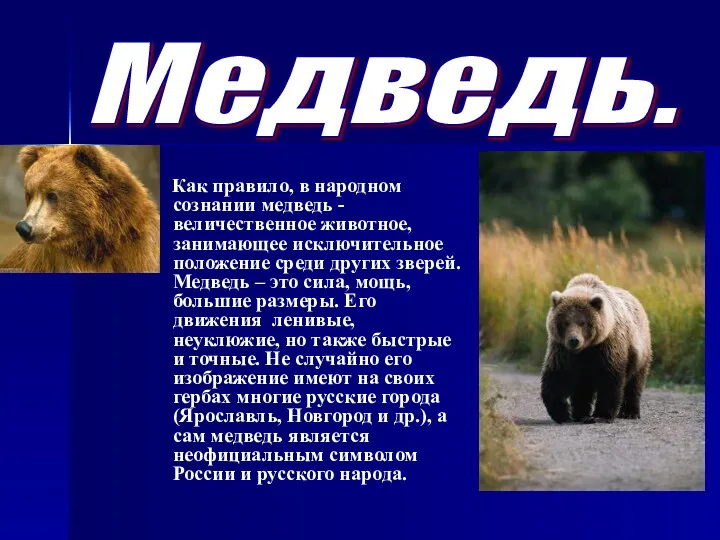 Медведь. Как правило, в народном сознании медведь - величественное животное, занимающее исключительное положение