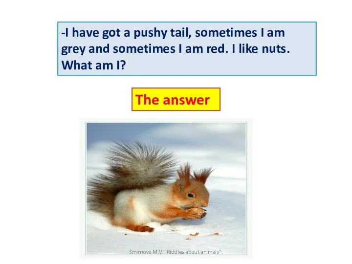 -I have got a pushy tail, sometimes I am grey