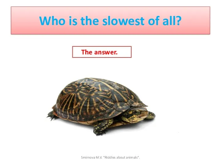 Who is the slowest of all? The answer. Smirnova M.V. "Riddles about animals".