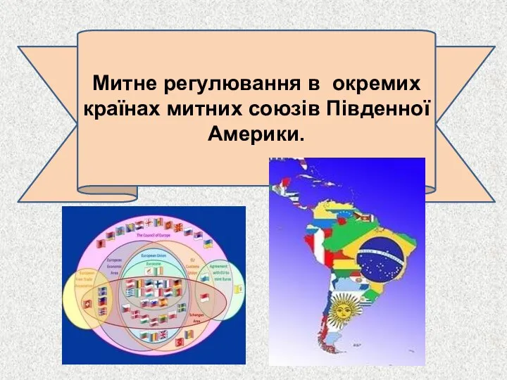 Митне регулювання в окремих країнах митних союзів Південної Америки.