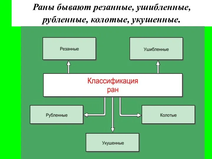 Раны бывают резанные, ушибленные, рубленные, колотые, укушенные.