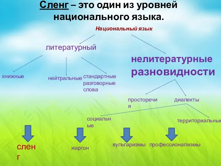 Сленг – это один из уровней национального языка. литературный книжные нейтральные стандартные разговорные