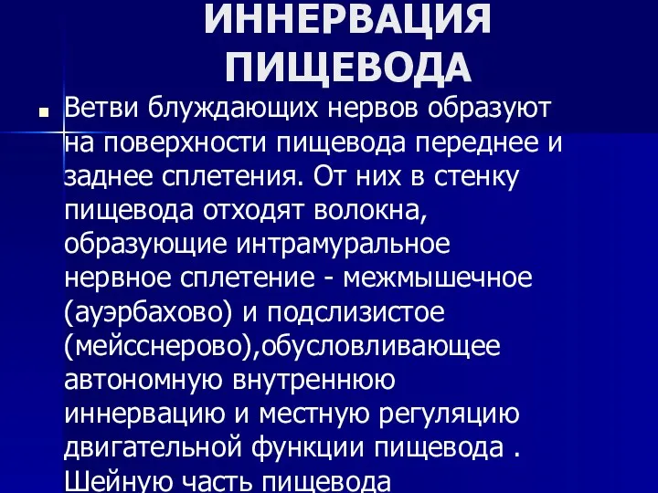 ИННЕРВАЦИЯ ПИЩЕВОДА Ветви блуждающих нервов образуют на поверхности пищевода переднее