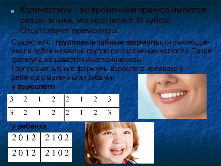Количеством – во временном прикусе имеются резцы, клыки, моляры (всего 20 зубов). Отсутствуют