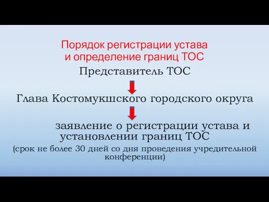 Порядок регистрации устава и определение границ ТОС Представитель ТОС Глава Костомукшского городского округа