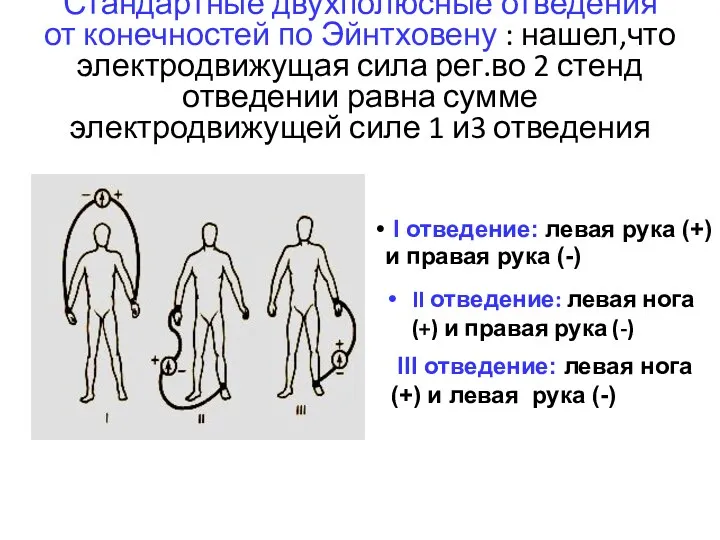 Стандартные двухполюсные отведения от конечностей по Эйнтховену : нашел,что электродвижущая