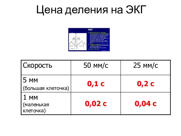 Цена деления на ЭКГ