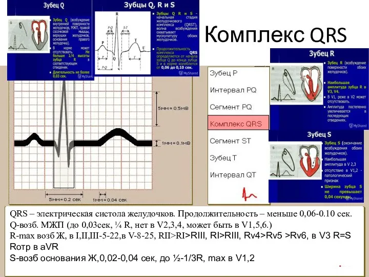 Комплекс QRS QRS – электрическая систола желудочков. Продолжительность – меньше 0,06-0.10 сек. Q-возб.