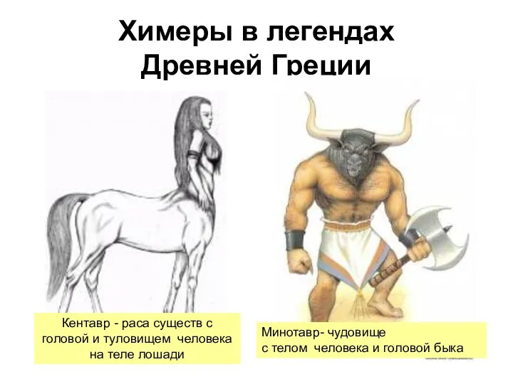Химеры в легендах Древней Греции Кентавр - раса существ с головой и туловищем