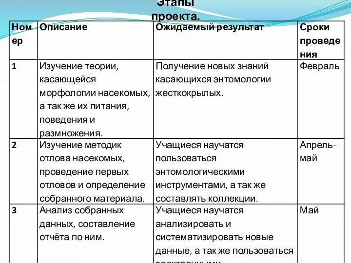 Этапы проекта.