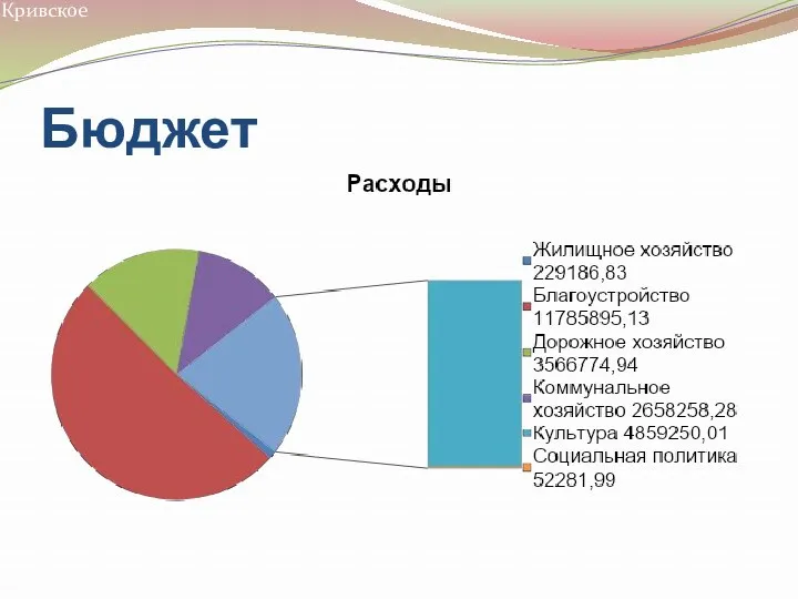 Бюджет Кривское