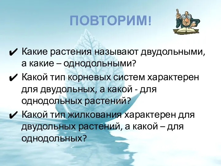 ПОВТОРИМ! Какие растения называют двудольными, а какие – однодольными? Какой