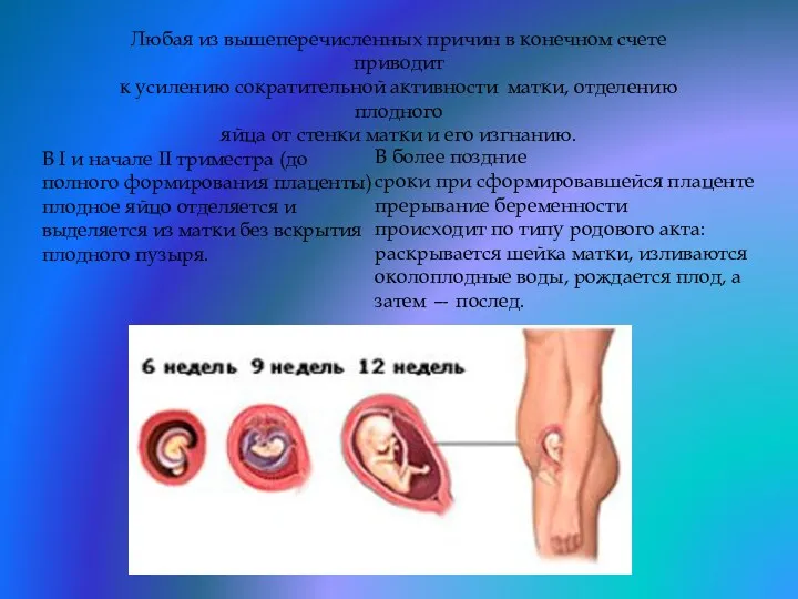 В I и начале II триместра (до полного формирования плаценты)