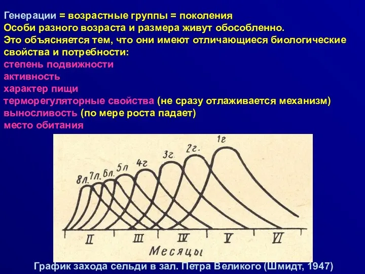 Генерации = возрастные группы = поколения Особи разного возраста и