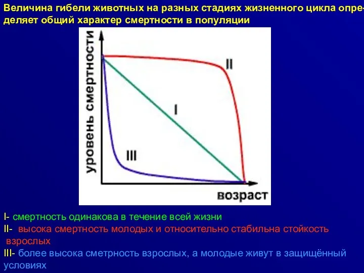 Величина гибели животных на разных стадиях жизненного цикла опре- деляет