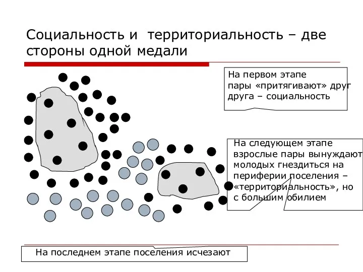 Социальность и территориальность – две стороны одной медали На первом