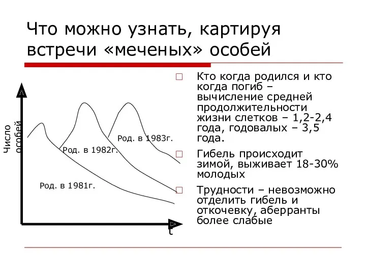 Что можно узнать, картируя встречи «меченых» особей Кто когда родился