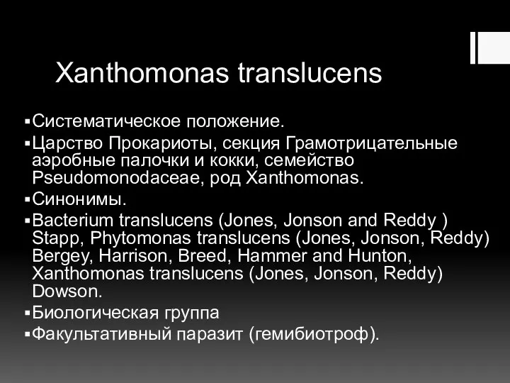 Xanthomonas translucens Систематическое положение. Царство Прокариоты, секция Грамотрицательные аэробные палочки