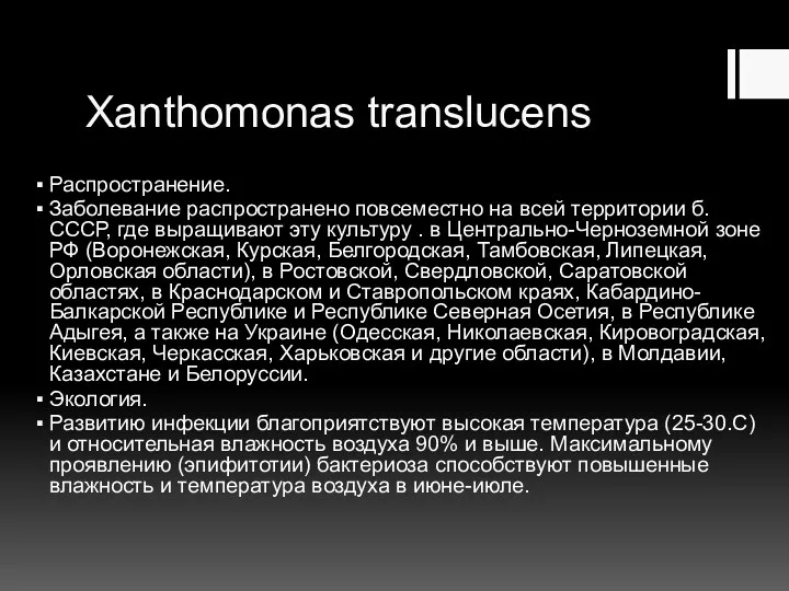 Xanthomonas translucens Распространение. Заболевание распространено повсеместно на всей территории б.