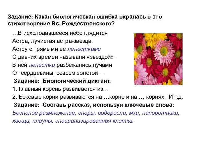 …В исхолодавшееся небо глядится Астра, лучистая астра-звезда. Астру с прямыми