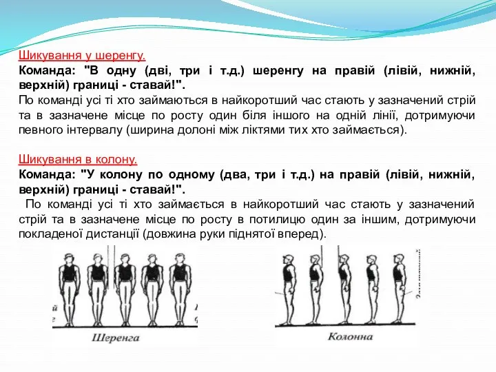 Шикування у шеренгу. Команда: "В одну (дві, три і т.д.)