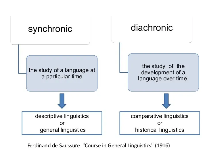 descriptive linguistics or general linguistics comparative linguistics or historical linguistics