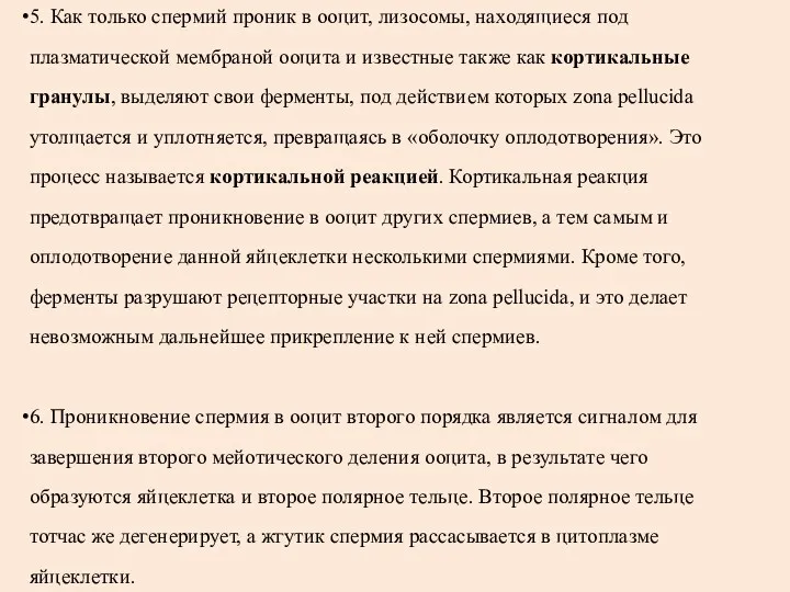 5. Как только спермий проник в ооцит, лизосомы, находящиеся под