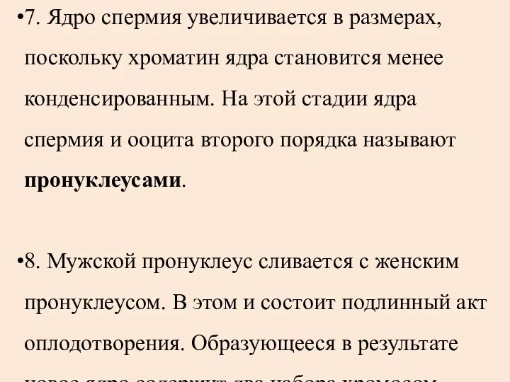 7. Ядро спермия увеличивается в размерах, поскольку хроматин ядра становится