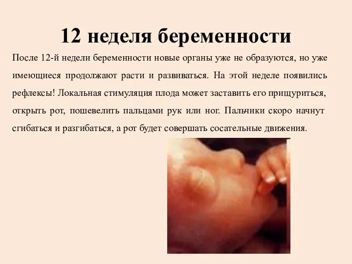 12 неделя беременности После 12-й недели беременности новые органы уже