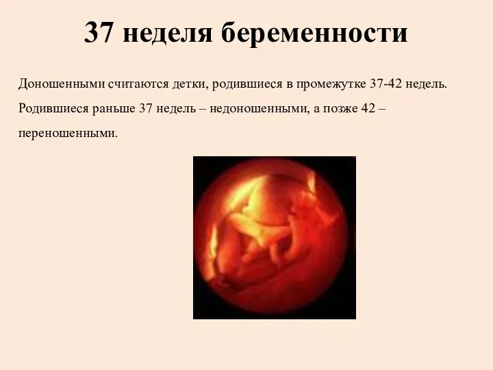 37 неделя беременности Доношенными считаются детки, родившиеся в промежутке 37-42