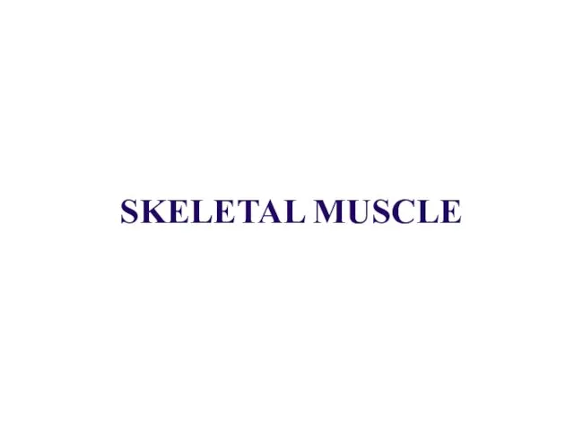SKELETAL MUSCLE