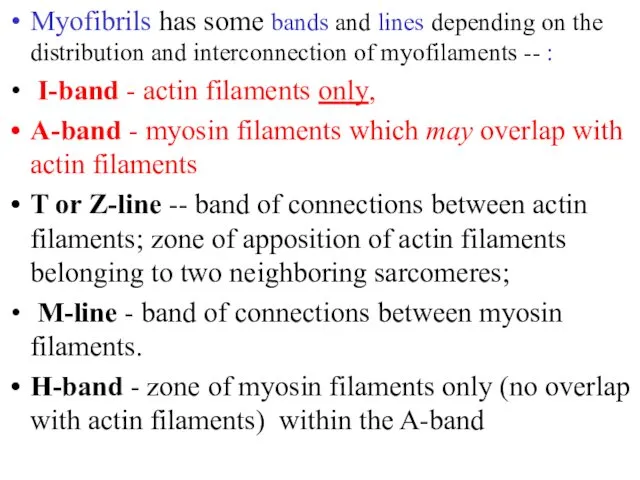Myofibrils has some bands and lines depending on the distribution