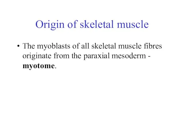 Origin of skeletal muscle The myoblasts of all skeletal muscle fibres originate from