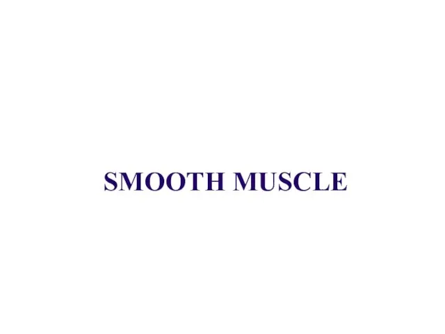 SMOOTH MUSCLE