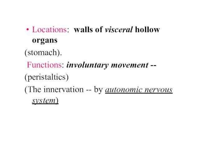 Locations: walls of visceral hollow organs (stomach). Functions: involuntary movement -- (peristaltics) (The
