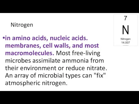 Nitrogen in amino acids, nucleic acids. membranes, cell walls, and