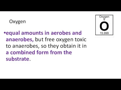 Oxygen equal amounts in aerobes and anaerobes, but free oxygen