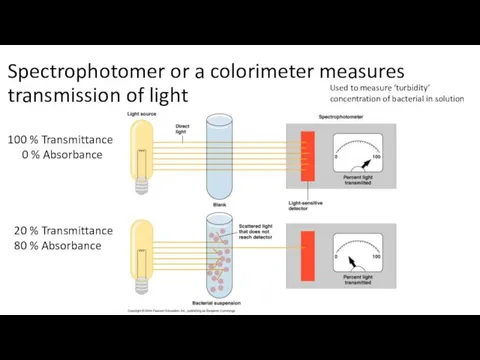 Spectrophotomer or a colorimeter measures transmission of light 100 %