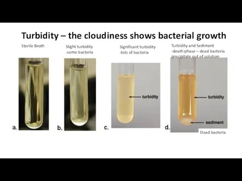 Turbidity – the cloudiness shows bacterial growth Turbidity and Sediment