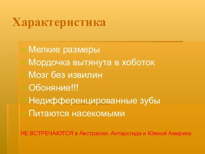 Характеристика Мелкие размеры Мордочка вытянута в хоботок Мозг без извилин