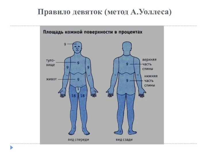 Правило девяток (метод А.Уоллеса)