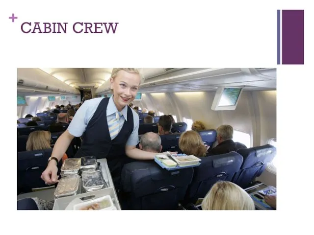 CABIN CREW