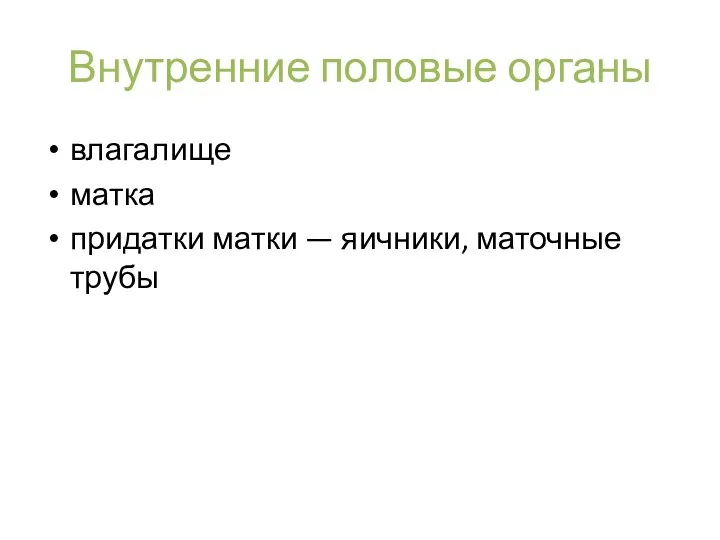 Внутренние половые органы влагалище матка придатки матки — яичники, маточные трубы