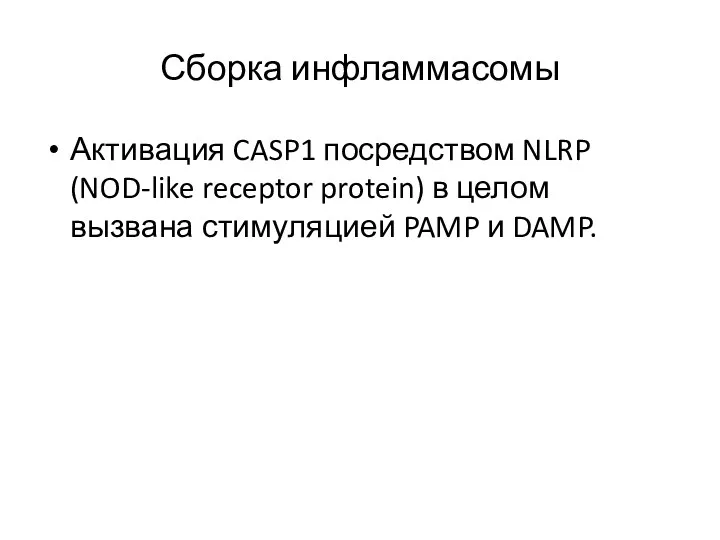 Сборка инфламмасомы Активация CASP1 посредством NLRP (NOD-like receptor protein) в целом вызвана стимуляцией PAMP и DAMP.