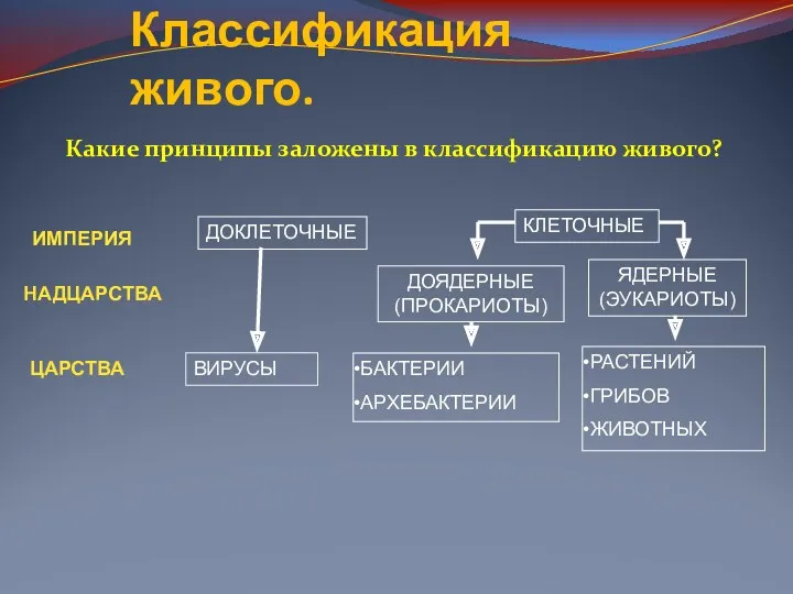 Классификация живого. Какие принципы заложены в классификацию живого? ИМПЕРИЯ КЛЕТОЧНЫЕ