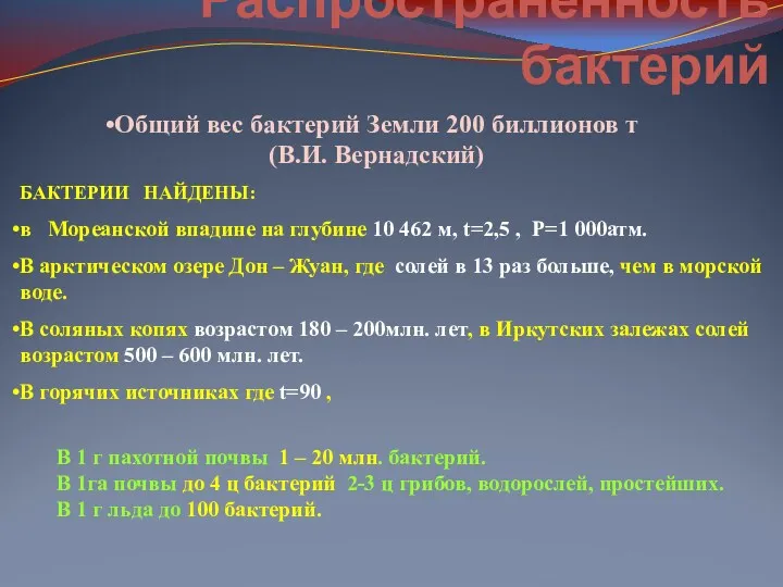 Распространённость бактерий Общий вес бактерий Земли 200 биллионов т (В.И.